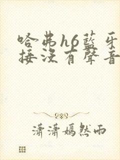 哈弗h6蓝牙连接没有声音