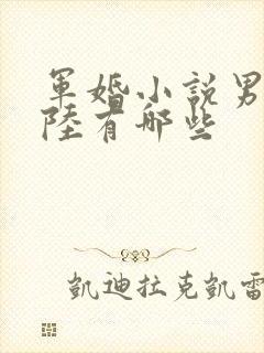 军婚小说男主姓陆有哪些