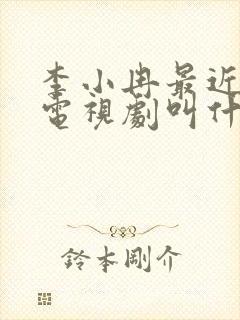 李小冉最近演的电视剧叫什么名字