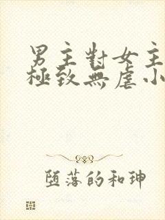 男主对女主宠到极致无虐小说