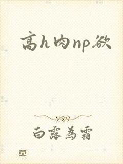 高h肉np欲