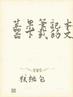 苹果笔记本浏览器下载的文件在哪