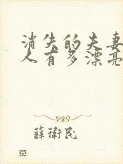 消失的夫妻女主人有多漂亮