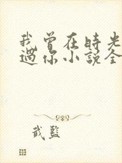 我曾在时光里听过你小说全文免费阅读