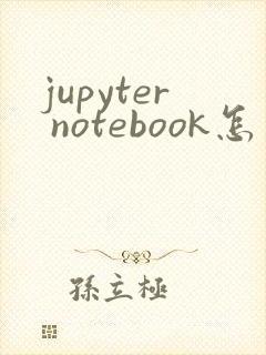 jupyter notebook怎么启动
