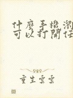 什么手机浏览器可以打开任何网站