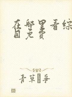 在哪里看综艺节目免费