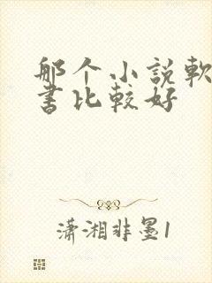 那个小说软件听书比较好