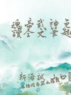 魂帝武神免费阅读全文笔趣阁