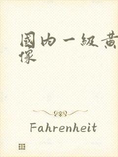 国内一级黄色录像