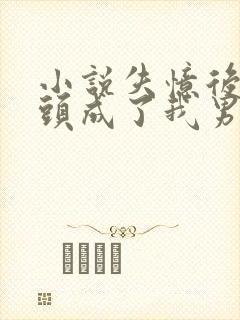 小说失忆后死对头成了我男友