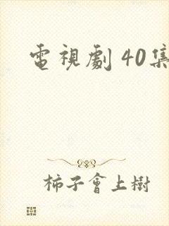 电视剧 40集