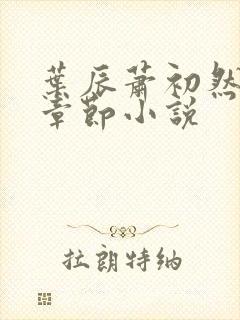 叶辰萧初然最新章节小说