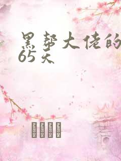 黑帮大佬的第365天