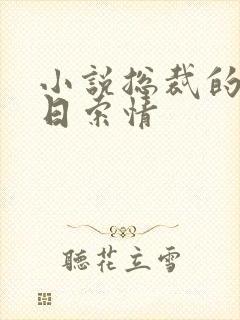 小说总裁的33日索情