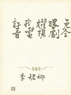 许我耀眼免费观看电视剧全集高清