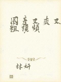 国产又爽又黄又粗视频