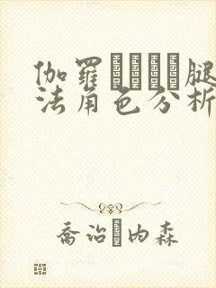 伽罗ちゃんが腿法角色分析及角色形