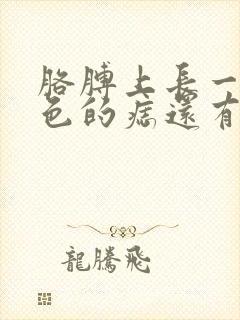 胳膊上长一个黑色的痣还有毛