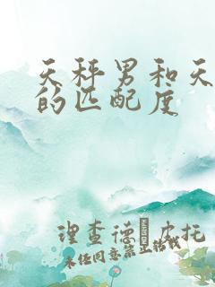 天秤男和天蝎女的匹配度