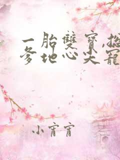 一胎双宝,总裁爹地心尖宠