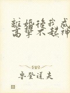 离婚后我成前妻高攀不起神
