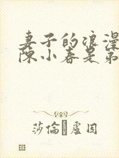 妻子的浪漫旅行陈小春是第几季