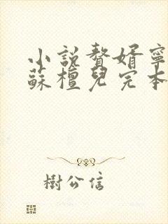 小说赘婿宁毅/苏檀儿完本