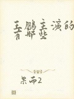 王鹏主演的短剧有哪些