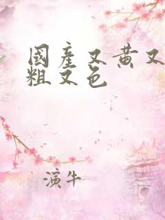 国产又黄又爽又粗又色