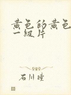 黄色的黄色录像一级片