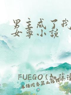 男主成了我夫郎女尊小说