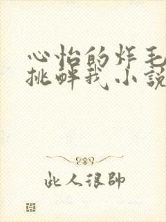 心怡的炸毛校霸挑衅我小说在线阅读