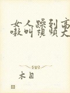 女人躁到高潮嗷嗷叫视频大全