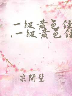 一级黄色录像片,一级黄色录像片