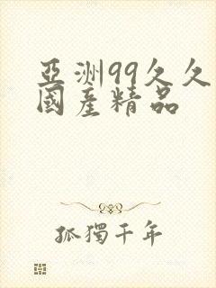 亚洲99久久久国产精品