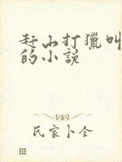 赶山打猎叫王安的小说