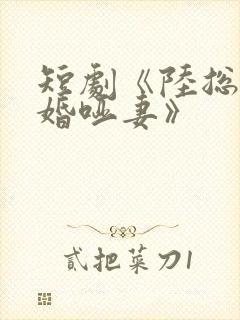 短剧《陆总的新婚哑妻》