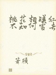 桃花相映红人面不知何处去桃花依旧笑春风
