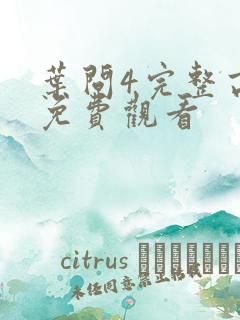 叶问4完整高清免费观看