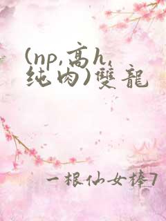 (np,高h,纯肉)双龙