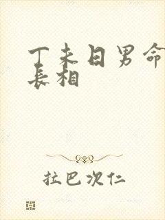 丁未日男命妻子长相