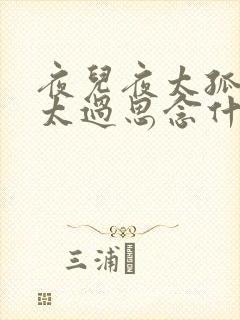 夜儿夜太孤单我太过思念什么歌