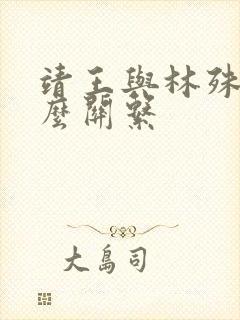 靖王与林殊是什么关系