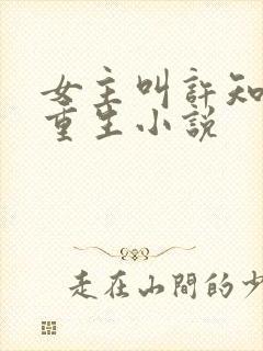 女主叫许知夏的重生小说