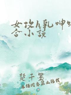 女攻h乳呻吟百合小说