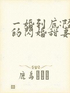 一婚到底:陆少的闪婚甜妻