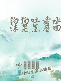 狗狗吐黄水带泡沫是怎么回事