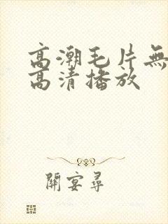 高潮毛片无遮挡高清播放