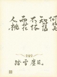 人面不知何处去,桃花依旧笑春风.什么意思